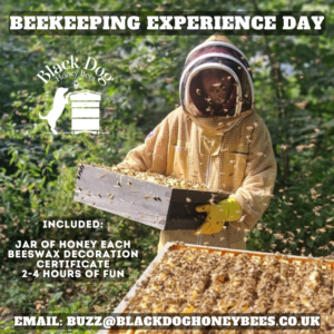 Beekeeping Experience Gift Voucher for One