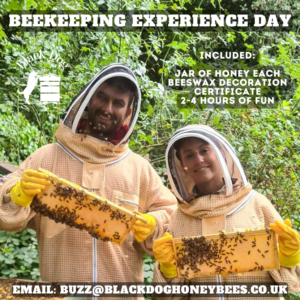 Beekeeping Experience Gift Voucher for 2