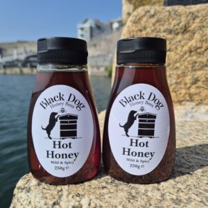 Hot Honey Twin Pack, NEW!